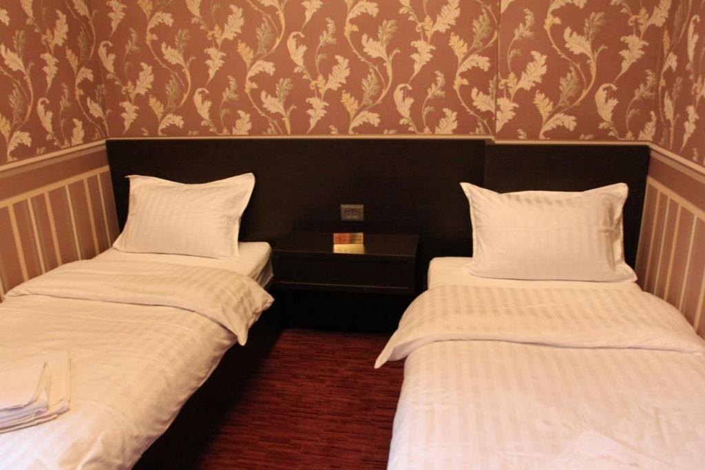 Hotel Style Bessarabia Kiliya 部屋 写真